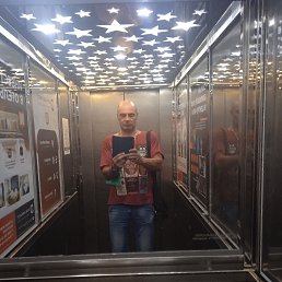 , 53 , 