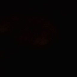 ���� ������, �����������, 18 ��� - ��������� 31 ������� 2025