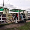 ���� ������, ����, 35 ��� - ��������� 15 ������� 2025