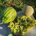 ���� ���:, �������, 75 ��� - ��������� 6 ������ 2024