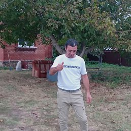 �����, ���������, 41 ���