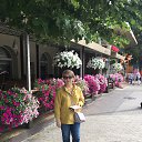 ���� �������, ���������, 50 ��� - ��������� 14 ���� 2025 � ������ ���� ����������