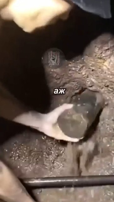        ?