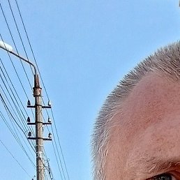 �����, ������, 49 ���