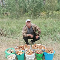 �������, 56 ���, �����