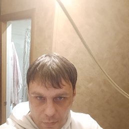 ������, 37 ���, ���������