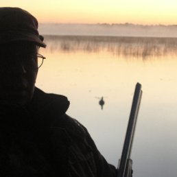 �������, �����-���������, 66 ���