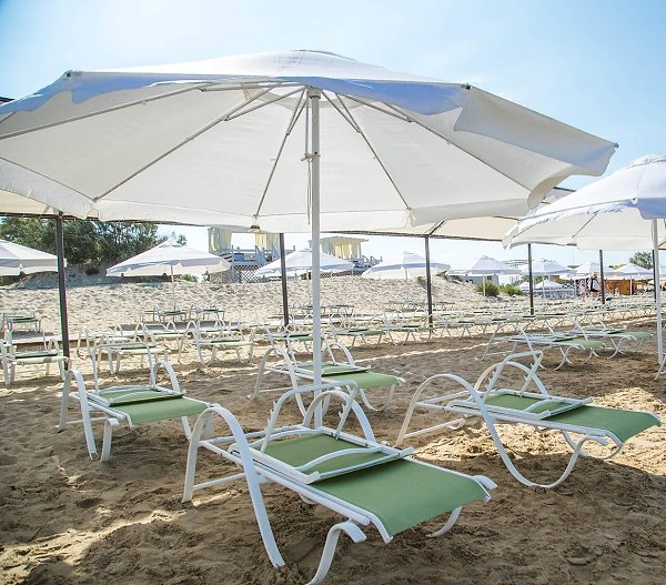       . ,   .      ... - 2