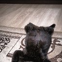 ���� �������, ������ ��������, 44 ���� - ��������� 20 ����� 2025