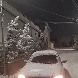 ��, ������, 37 ���