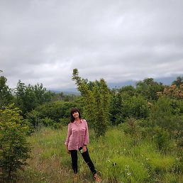 �������, ���������, 50 ���