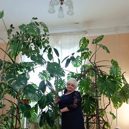 ���� �������, ����������, 63 ���� - ��������� 1 ���� 2024