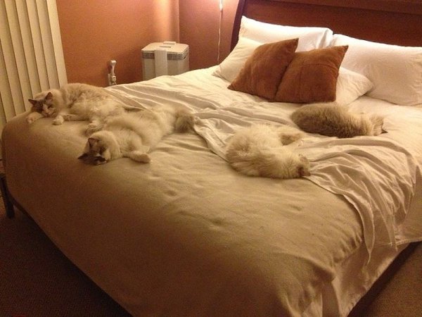       - 1  2025  16:50 - 3