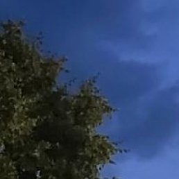 ������, ��������, 24 ����