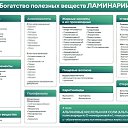 ���� ����, ������, 48 ��� - ��������� 14 ������ 2026 � ������ ���� ����������