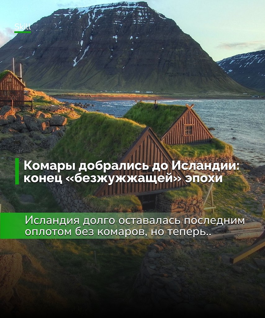 Даже самые суровые климатические барьеры перестают быть преградой для распространения живых существ ...