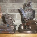 ���� Tina, ������� - ��������� 19 ������� 2026 � ������ ����� �� ������ ���໻