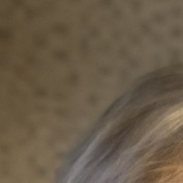 �����, �����������, 54 ����