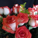 ���� �����, ����� - ��������� 8 ������� 2025 � ������ ���� ����������