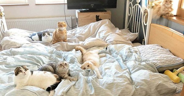       - 1  2025  16:50 - 2