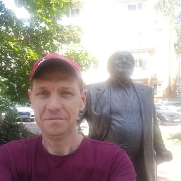 �����, 41 ���, ���������