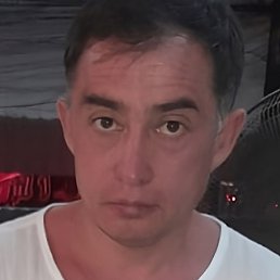 , , 50 