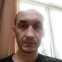 �����, ������, 41 ���