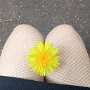  , -, 39  -  29  2025    