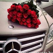 �������, 44 ����, ���������