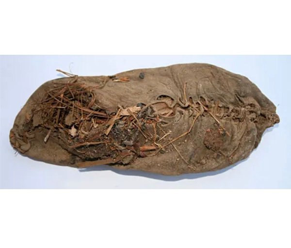 ��������� ����� ��������� ����� � ������ �����, ������� ������� ����� 5 ����� ���. � ������ ����� ... - 3