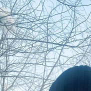 �������, 48 ���, ������