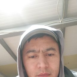 ����, 37 ���, �����-���������