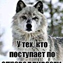 ���� ������, ������, 39 ��� - ��������� 25 ������� 2025 � ������ ���� ����������