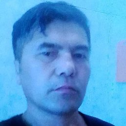 ���, ����, 41 ���