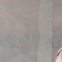 Ҹ��, �����������, 41 ���