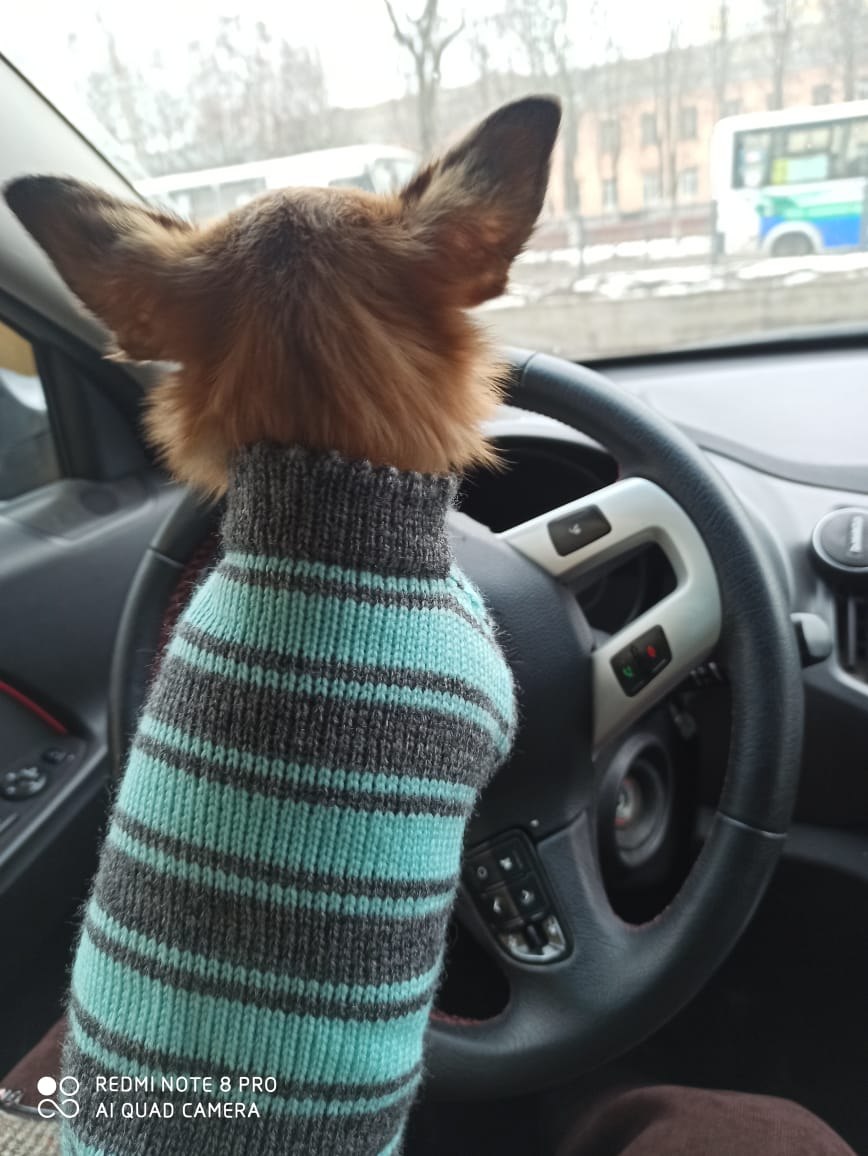 ������ - 19 ������ 2025 � 07:56