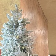 �������, 25 ���, ������