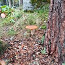 ���� ������, �����-��������� - ��������� 19 ������ 2023 � ������ ������ ��������