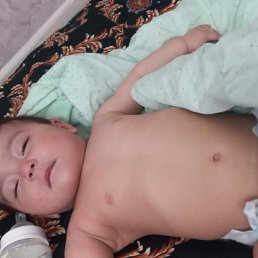 ���� �����, �����������, 25 ��� - ��������� 19 ���� 2024