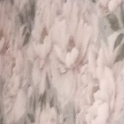 ���������, 48 ���, ������