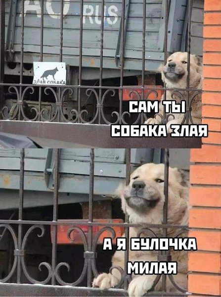 ��! � �� �������)
