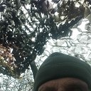 ���� �����., ������, 63 ���� - ��������� 3 ������ 2025