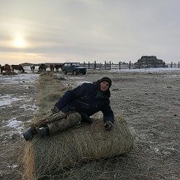 ����, ������, 52 ����