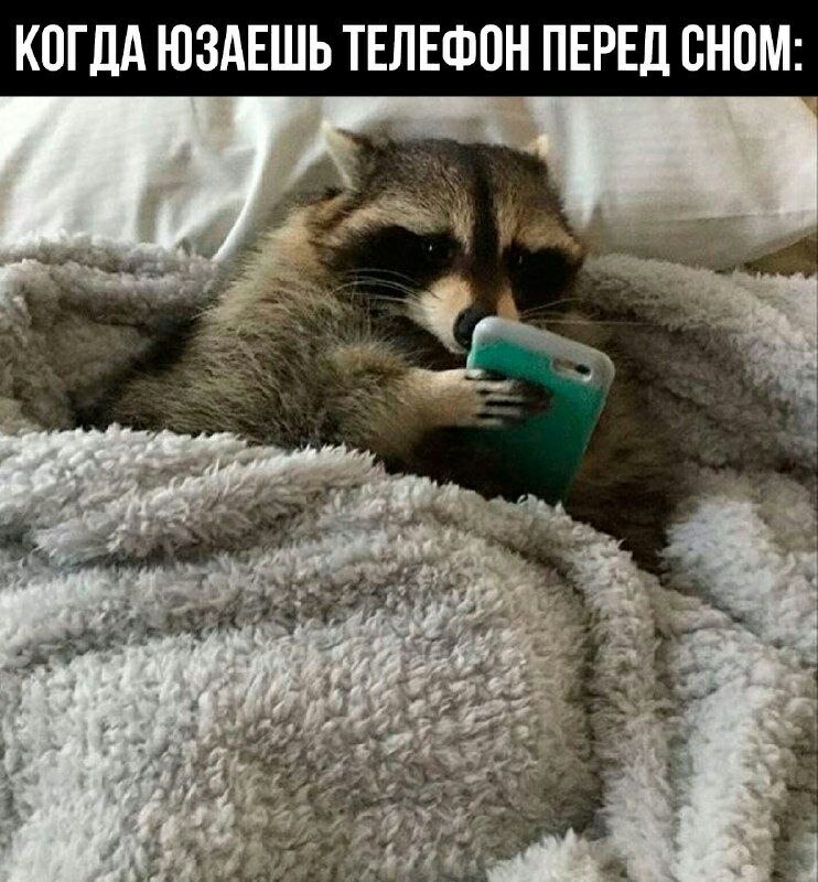    - 12  2023  14:11