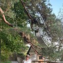 ���� ����, ������, 67 ��� - ��������� 28 �������� 2025 � ������ ���� ����������