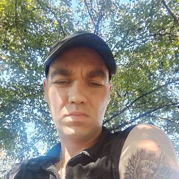 , 33, 