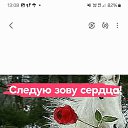 ���� ���������, �������, 64 ���� - ��������� 2 ������� 2024 � ������ ���� ����������