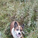 ���� ������, �������� - ��������� 16 ������ 2025 � ������ ������ ��������