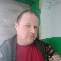 ����, 43 ����, �����������