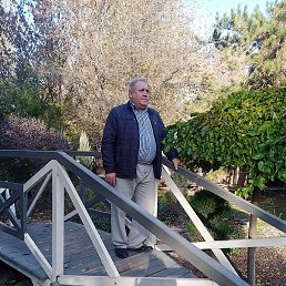 ���������, ��������, 66 ���